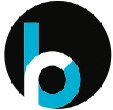 BloomReach Inc logo