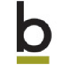 Brierley+Partners logo