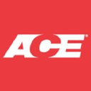 Acefitness logo