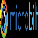 MicroBilt Corporation logo