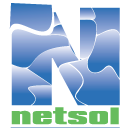 NetSol Technologies Inc. logo