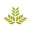 Northeast Georgia Health System logo