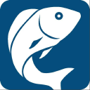 Rubio's Restaurants, Inc logo