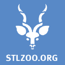 Stlzoo logo